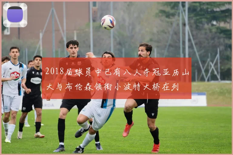 2018届球员中已有八人夺冠亚历山大与布伦森领衔小波特大桥在列